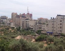 Palestine City Scape